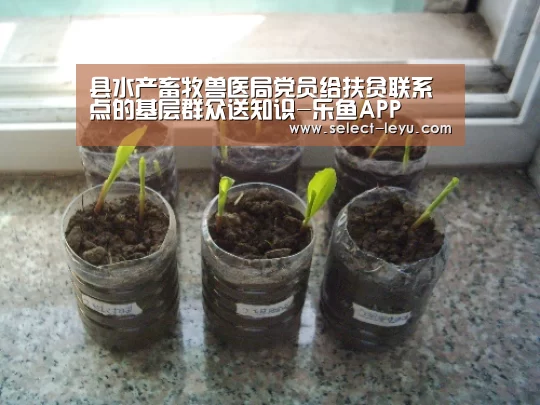 县水产畜牧兽医局党员给扶贫联系点的基层群众送知识-乐鱼APP(图3) 乐鱼APP