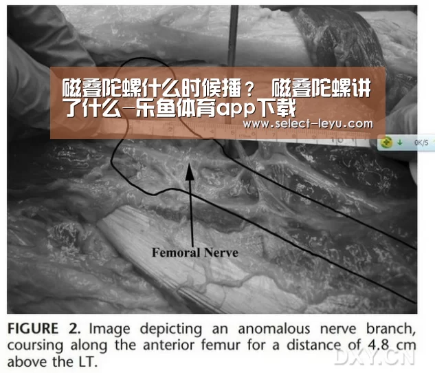 磁叠陀螺什么时候播? 磁叠陀螺讲了什么-乐鱼体育app下载(图1) 乐鱼体育app官网