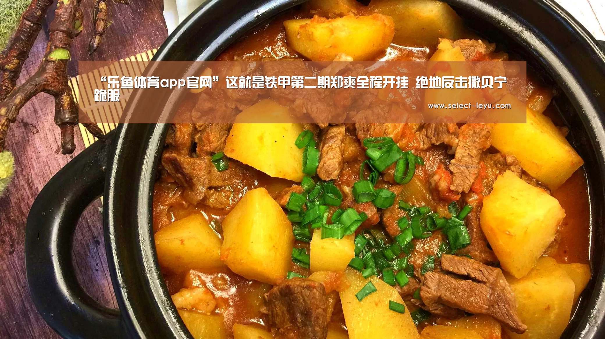 乐鱼体育app在线